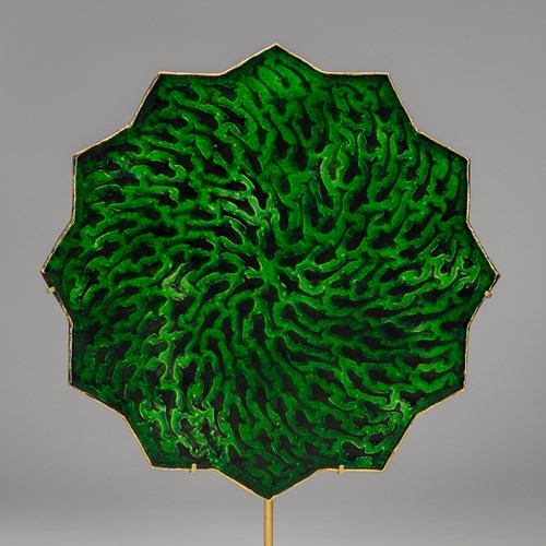 Shoal of Fish from the Emerald Forest Series